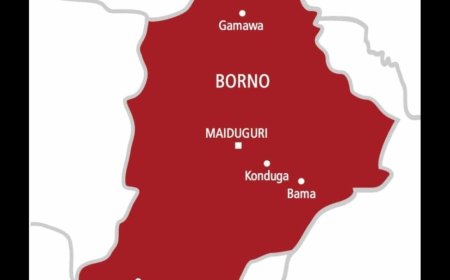 Family of Abducted Borno Child Appeals to Tinubu, Zulum for Urgent Intervention