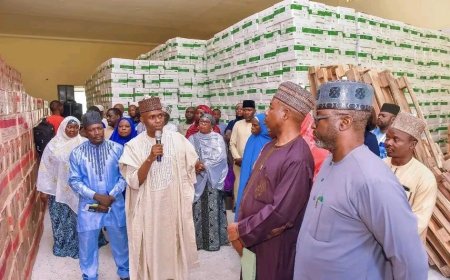 Gombe, UNICEF Partner on N1bn Therapeutic Food Initiative to Tackle Child Malnutrition