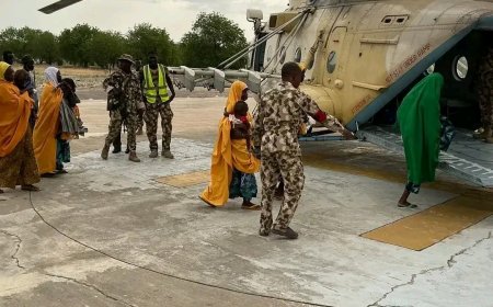 Nigerian Troops Rescue 47 Women, Children from ISWAP Captivity in Borno