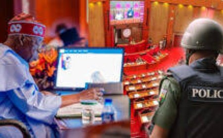 Senate Approves Safeguards Against Governors’ Abuse of Proposed State Police