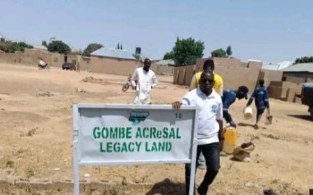 ACReSAL Warns Against Encroachment on Reclaimed Gully Erosion Sites in Gombe