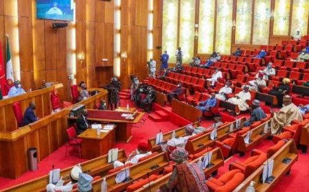 Senate Approves Increase in Police Trust Fund Allocation from Federation Account