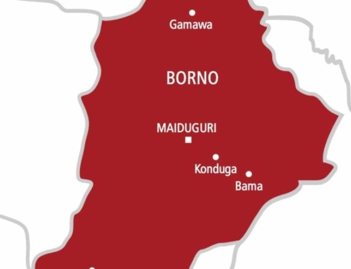 Family of Abducted Borno Child Appeals to Tinubu, Zulum for Urgent Intervention