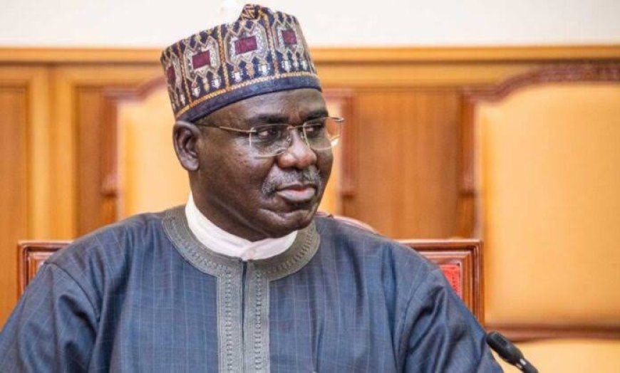 Bandits Can Be Located If Security Agencies Are Determined, Says Buratai