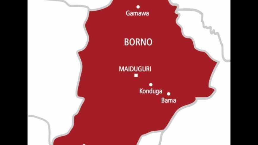 Family of Abducted Borno Child Appeals to Tinubu, Zulum for Urgent Intervention