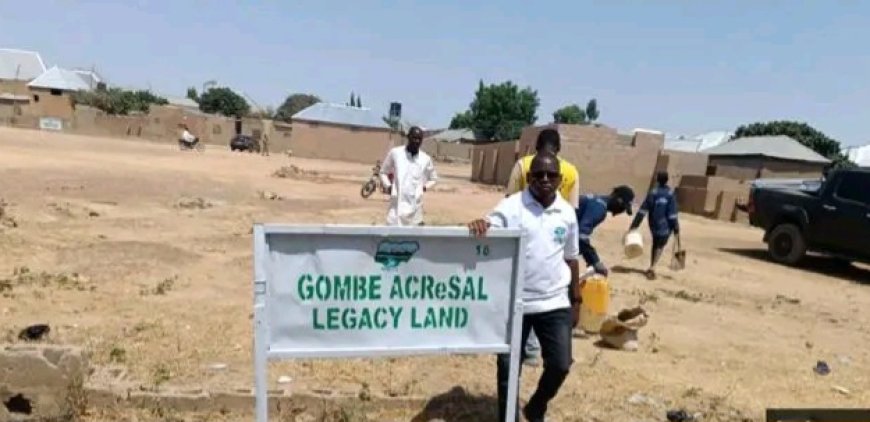 ACReSAL Warns Against Encroachment on Reclaimed Gully Erosion Sites in Gombe
