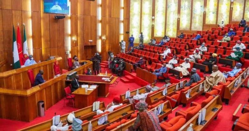 Senate Approves Increase in Police Trust Fund Allocation from Federation Account