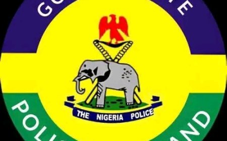 Gombe Police Arrest Eight Suspected Armed Robbery, Cybercrime Syndicate Members