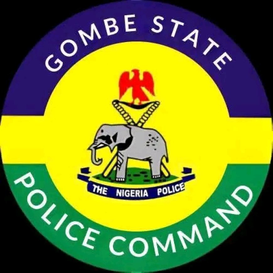 Gombe Police Arrest Eight Suspected Armed Robbery, Cybercrime Syndicate Members