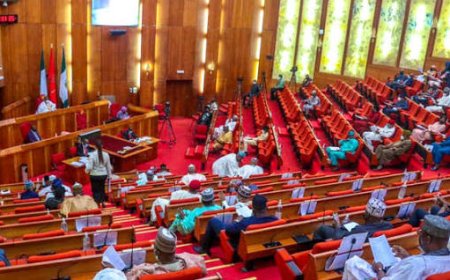 Majalisar Dattawa Ta Bayyana Dalilin Cire Abuja Daga Tsarin Kafa ’Yan Sandan Jihohi