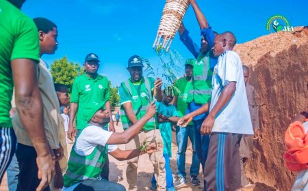 JEI Plants 550 Trees in Sabon Gari Bogo to Support Gombe’s Green Agenda