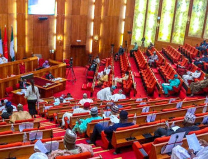 Majalisar Dattawa Ta Bayyana Dalilin Cire Abuja Daga Tsarin Kafa ’Yan Sandan Jihohi