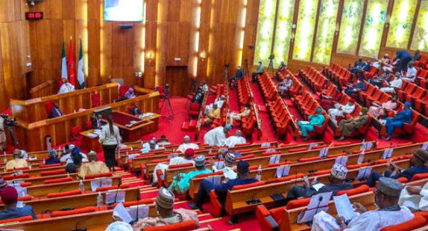 Majalisar Dattawa Ta Bayyana Dalilin Cire Abuja Daga Tsarin Kafa ’Yan Sandan Jihohi